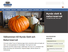 Tablet Screenshot of nynasslott.se